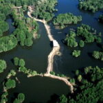 Private Mangrove Forest and Monkey Island Exploration - In-Depth Breakdown of the Itinerary
