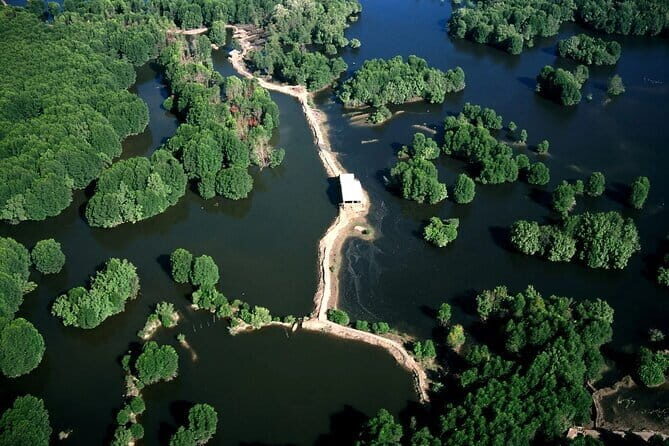 Private Mangrove Forest and Monkey Island Exploration - In-Depth Breakdown of the Itinerary