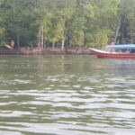 Private Mangrove Tour, Beach & Refreshing Waterfall - Introducing the Private Mangrove Tour, Beach & Refreshing Waterfall Experience
