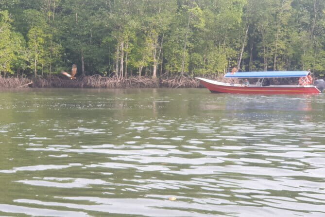 Private Mangrove Tour, Beach & Refreshing Waterfall - Introducing the Private Mangrove Tour, Beach & Refreshing Waterfall Experience