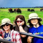 Private Minneriya National Park Safari and Fireflies Lighting Tour - Who Should Consider This Tour?
