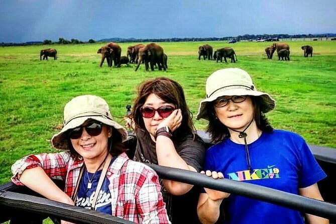Private Minneriya National Park Safari and Fireflies Lighting Tour - Who Should Consider This Tour?