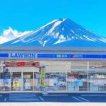 Private Mount Fuji and Hakone One Day Tour - What the Reviews Reveal