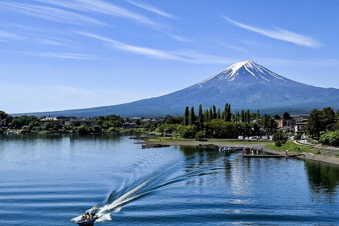 Private Mount Fuji Day Trip from Tokyo by Car - Who Would Love This Tour?