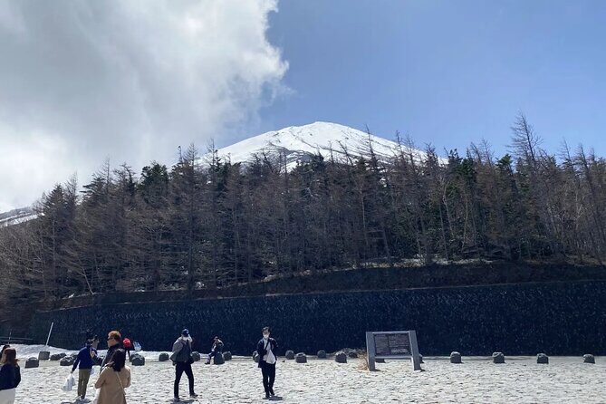 Private Mt Fuji and Hakone Day Tour from Tokyo - Who Should Consider This Tour?