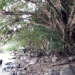 Private Nam Cat Tien National Park 2 Days 1 Night - Practical Details and Tips