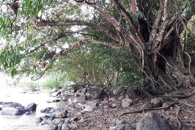 Private Nam Cat Tien National Park 2 Days 1 Night - Practical Details and Tips