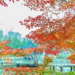 Private Nanjing Layover Tour to Qixia Mountain - What Travelers Say (Based on Reviews)