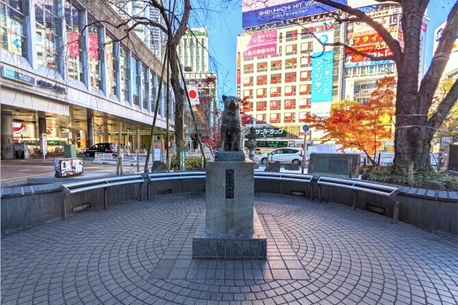 Private Night Walking Tour Shibuya Bar Hopping w. Master Guide - Who Would Love This Tour?