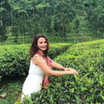 Private Nuwara Eliya City Tour Including Main Attractions - Discovering Nuwara Eliya’s Scenic and Cultural Gems