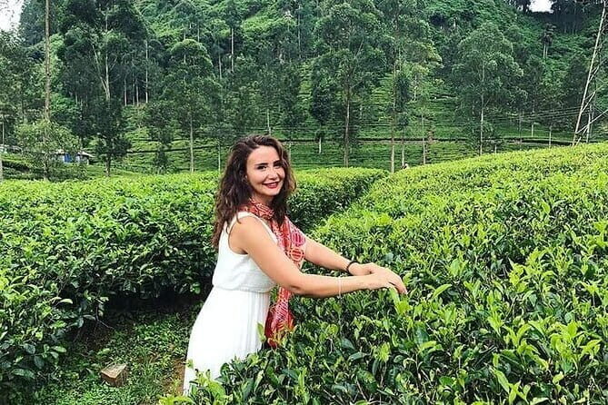 Private Nuwara Eliya City Tour Including Main Attractions - Discovering Nuwara Eliya’s Scenic and Cultural Gems