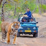 Private One Way Transfer From Jaipur To Ranthmbore - Final Thoughts