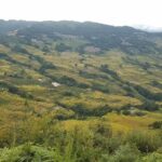 Private Overnight Tour to Yuanyang Rice Terraces from Kunming - Whats Included and What to Consider