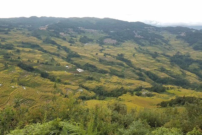 Private Overnight Tour to Yuanyang Rice Terraces from Kunming - Whats Included and What to Consider