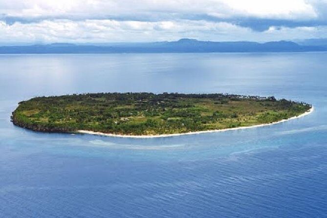 Private Pamilacan Island with Lunch from Tagbilaran City - Key Points