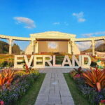 Private Round Trip Transfer - Seoul Hotel to Everland Theme Park - Analyzing the Value: Is It Worth the Price?