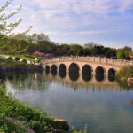 Private Round Trip Transfer to Changshu from Shanghai - Authentic Perspectives from Review Insights