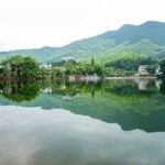 Private Round Trip Transfer to Mogan Mountain from Hangzhou - Why Choose This Tour?