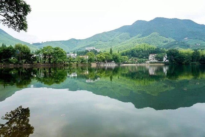 Private Round Trip Transfer to Mogan Mountain from Hangzhou - Why Choose This Tour?