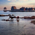 Private Round-Trip Transfer to Shanhaiguan Pass and Laolongtou from Beijing - Practical Considerations