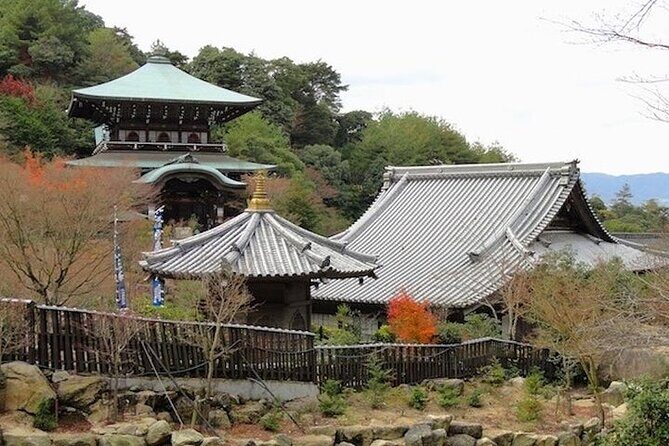 Private Sandankyo Valley Tour from Hiroshima with a Local Guide - Authentic Insights from Reviews