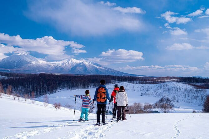 Private Scenic Hills Snowshoeing in Biei - The Snowshoeing Experience