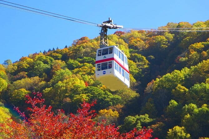 Private Shinhotaka Ropeway and Kamikochi Tour - Who Is This Tour Best For?