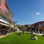 Private Shopping Tour from Yokohama hotels to Grandberry Park - An In-Depth Look at the Tour Experience
