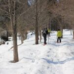 Private Snowshoeing Tour in Hida - Practical Details and Considerations