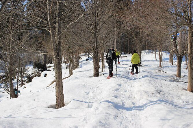 Private Snowshoeing Tour in Hida - Practical Details and Considerations