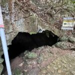 Private Tabon Cave Day Tour from Puerto Princesa City - Return Journey & Drop-off