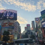 Private Tailored Tour with Local Guide in Tokyo - Who Is This Tour Best For?