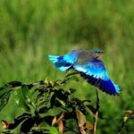 Private Taj Mahal and Bird watching Tours 2 Night 3 days - Practical Details and Value
