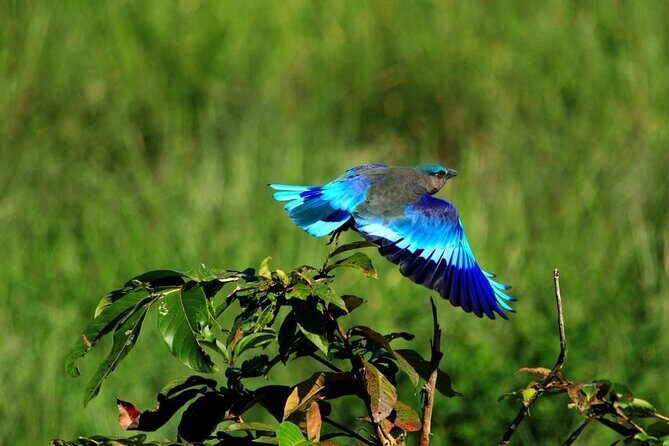 Private Taj Mahal and Bird watching Tours 2 Night 3 days - Practical Details and Value