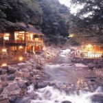 Private Tokyo Tour guide Japanese disco, clubs. Dancing any where translate. - Itinerary Breakdown