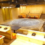 Private Tokyo Tour with Asakusa Visit - Who Should Consider This Tour?