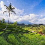 Private Tour : Bali Bird park and Tegenungan Waterfall - Who Will Love This Tour?