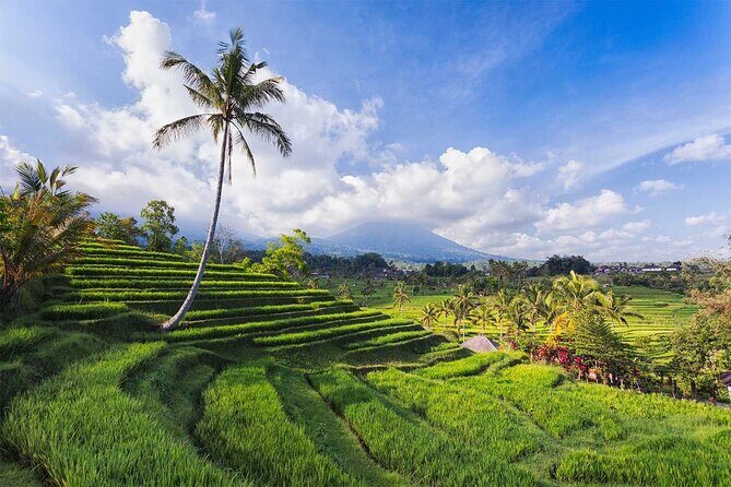 Private Tour : Bali Bird park and Tegenungan Waterfall - Who Will Love This Tour?