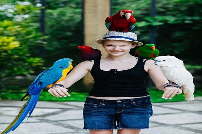 Private Tour Bali Bird Park And Ubud Tour - FAQs