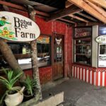 Private Tour: Bohol - 3 Days and 2 Nights - The Sum Up: Is This Tour Worth It?