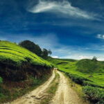 Private Tour : Cameron Highland Day Trip from Kuala Lumpur - Big Red Strawberry Farm: A Fruitful Stop