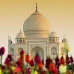 Private Tour: Day Trip to Agra from Delhi WithTaj Mahal , Agra Fort & Baby Taj - FAQs
