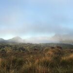 Private Tour in Horton Plains National Park & World's End Tour with Pick up - Final Thoughts