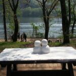 Private Tour including Nami Island with attractions in Seoul - The Sum Up