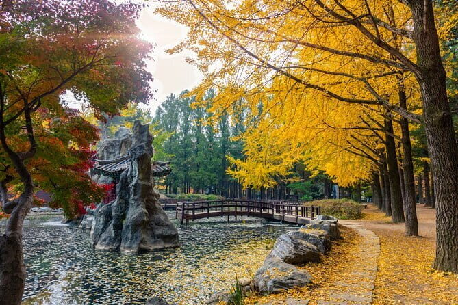 Private Tour Nami Island,Petite France,The Garden of Morning Calm - Who Is This Tour Best For?