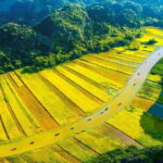 Private Tour NINH BINH Tam Coc Bich Dong Thai Vi 1-day From Hanoi - Practical Details and Insights