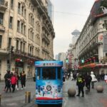 Private Tour of Fengjing Ancient Town and Shanghai Sightseeing with Pickup - Analyzing the Value