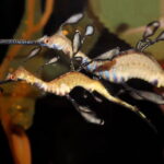 Private Tour of Shanghai Ocean Aquarium, Longhua Temple and Oriental Peal Tower - Final Thoughts