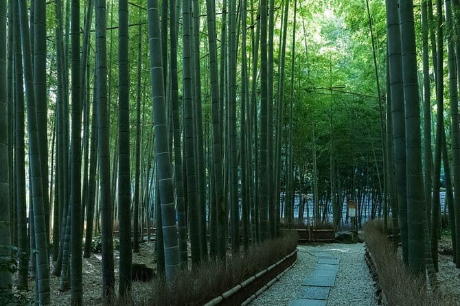 Private Tour of the Ancient Capital Kamakura from Tokyo - Exploring Kamakura’s Historic Heart: Tsurugaoka Hachimangu Shrine
