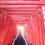 Private Tour of Tokyo with a French-Speaking Guide - Practical Details and Whats Included